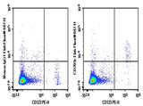 Human peripheral blood lymphocytes cell were stained with 0.2 μg Purified Anti-Human CD203c Antibody[NP4D6] (Right) and 0.2 μg Mouse IgG1, κ Isotype Control (Left), followed by Elab Fluor<sup>®</sup> 647-conjugated Goat Anti-Mouse IgG Secondary Antibody, then anti-Human CD123 PE-conjugated Monoclonal Antibody.