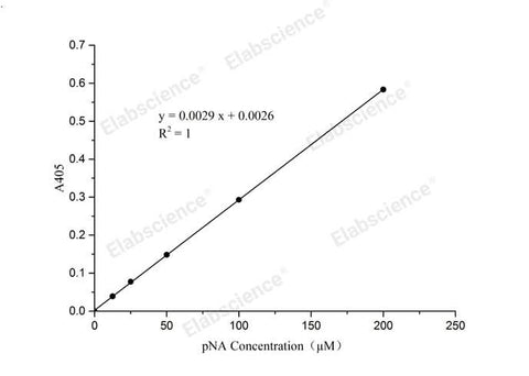 pNA Standard Curve