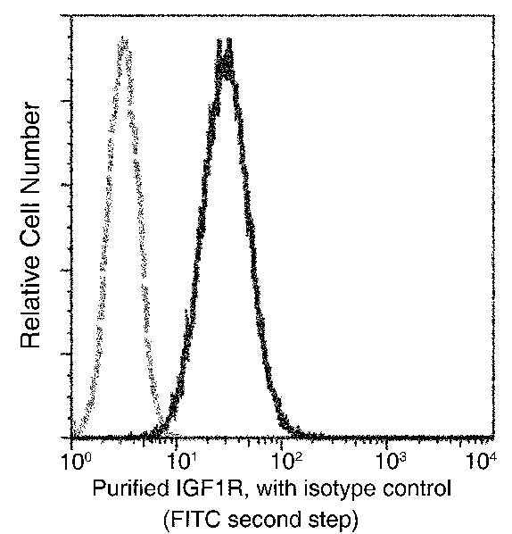 Anti-Human IGF1R Antibody [A1160] - ABMIUM