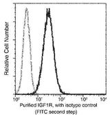 Anti-Human IGF1R Antibody [A1160] - ABMIUM