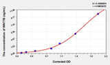 Mouse WNT7B(Wingless Type MMTV Integration Site Family, Member 7B) ELISA Kit