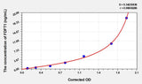 Mouse FDFT1(Squalene Synthase) ELISA Kit