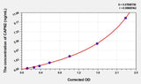 Rat CAPN2(Calpain 2, Large Subunit) ELISA Kit
