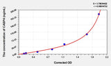 Rat CASP4(Caspase 4) ELISA Kit