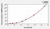 Cattle MMP8(Matrix Metalloproteinase 8) ELISA Kit