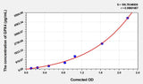 Rat GPX4(Glutathione Peroxidase 4) ELISA Kit 96T*5