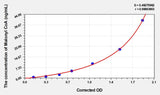 Human Malonyl CoA (Malonyl Coenzyme A) ELISA Kit 96T*5