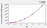 Cattle BMP7(Bone Morphogenetic Protein 7) ELISA Kit 96T*5