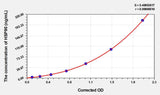 Rat HSP90(Heat Shock Protein 90) ELISA Kit 96T*5