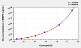 Rabbit MMP2(Matrix Metalloproteinase 2) ELISA Kit 96T*5