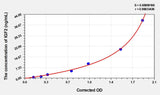 Rat IGF2(Insulin Like Growth Factor 2) ELISA Kit 96T*5