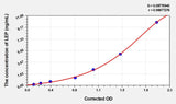 Rabbit LEP(Leptin) ELISA Kit 96T*5