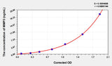 Rat MMP3(Matrix Metalloproteinase 3) ELISA Kit 96T*5