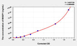 Human MASP1(Mannose Associated Serine Protease 1) ELISA Kit 96T*5