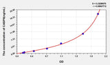 Mouse CASP8(Caspase 8) ELISA Kit