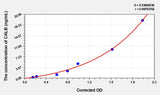 Rat CALB(Calbindin) ELISA Kit