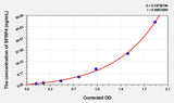 Rat SFRP4(Secreted Frizzled Related Protein 4) ELISA Kit