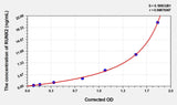 Rat RUNX2(Runt Related Transcription Factor 2) ELISA Kit