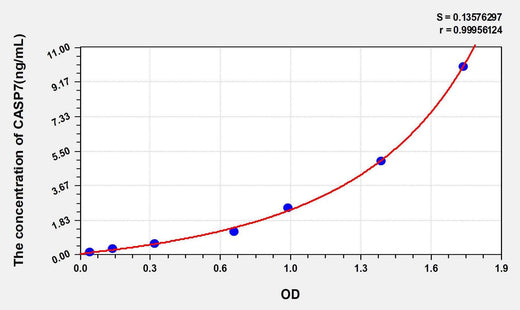 Mouse CASP7(Caspase 7) ELISA Kit