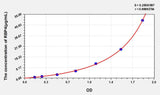 Rabbit RBP4(Retinol Binding Protein 4, Plasma) ELISA Kit