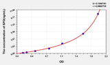 Dog SPD(Surfactant Associated Protein D) ELISA Kit
