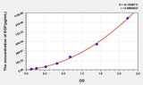 Rat EGF(Epidermal Growth Factor) ELISA Kit 96T*5