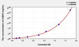 Human CASP3(Caspase 3) Microsample ELISA Kit 96T*5
