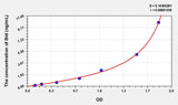 Rat Bid(BH3 Interacting Domain Death Agonist) ELISA Kit 96T*5
