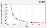 Human NTXI(Cross Linked N-Telopeptide Of Type I Collagen) ELISA Kit 96T*5