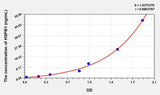 Rat HSPB1(Heat Shock 27kDa Protein 1) ELISA Kit 96T*5