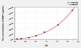 Rat BMP1(Bone Morphogenetic Protein 1) ELISA Kit 96T*5
