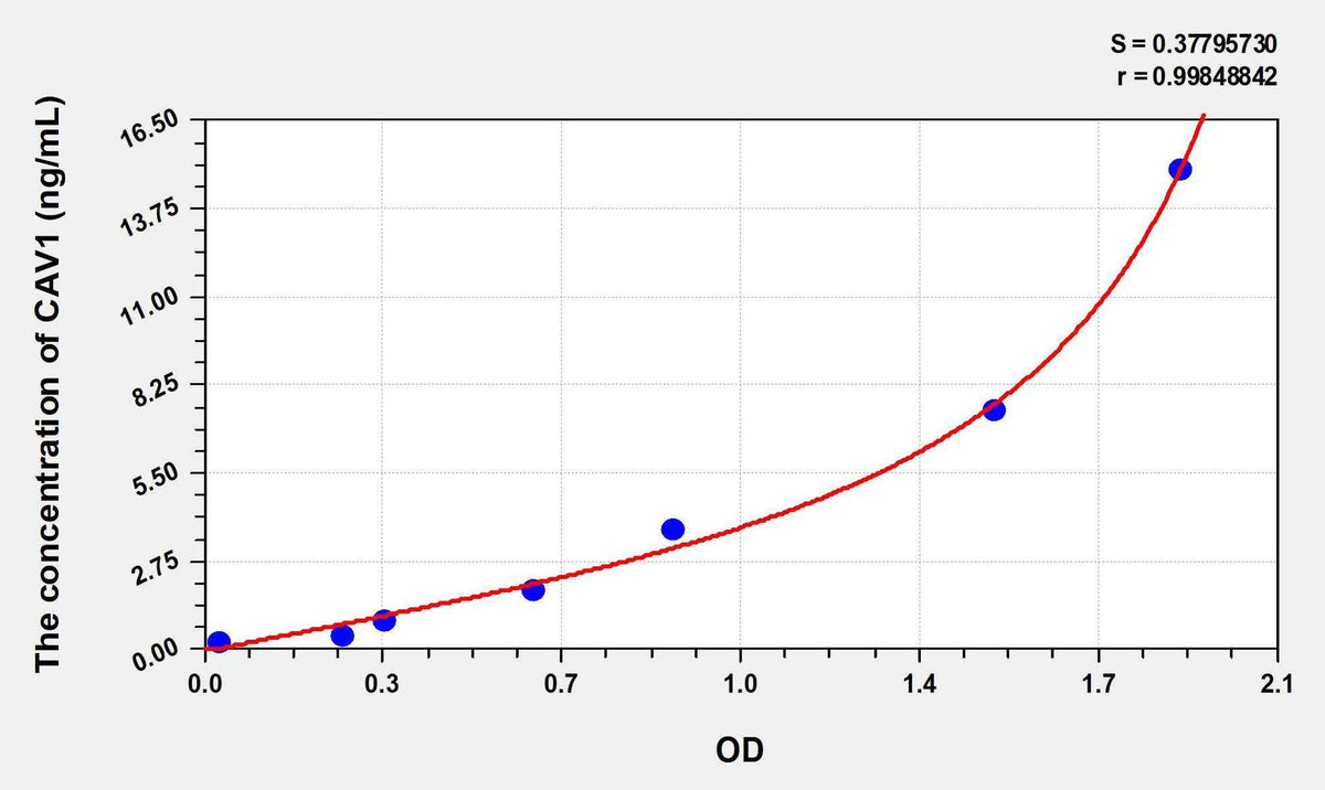 Human CAV1(Caveolin 1) ELISA Kit