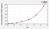 Rat HSF1(Heat Shock Transcription Factor 1) ELISA Kit 96T*5