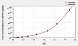 Human HSP10(Heat Shock 10kDa Protein 1) ELISA Kit 96T*5