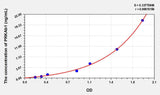 Human PRKAb1(Protein Kinase, AMP Activated Beta 1) ELISA Kit 96T*5