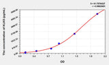 Mouse KLK5(Kallikrein 5) ELISA Kit 96T*5