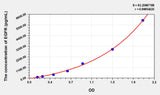 Mouse EGFR(Epidermal Growth Factor Receptor) ELISA Kit 96T*5