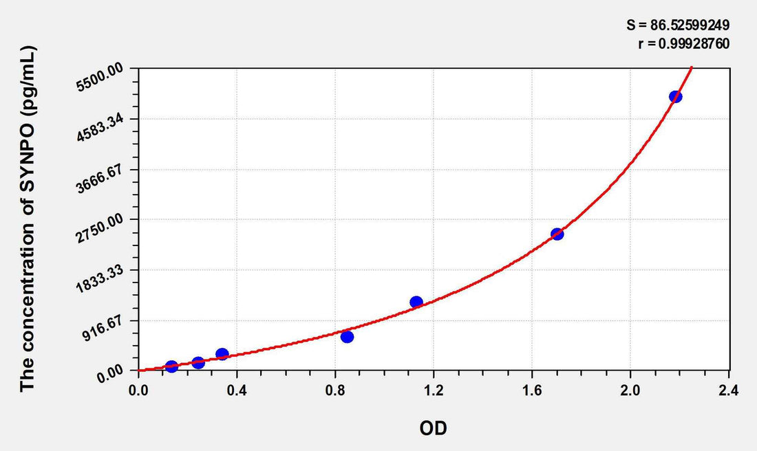 Human SYNPO(Synaptopodin) ELISA Kit