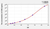 Human CCR2(Chemokine C-C-Motif Receptor 2) ELISA Kit 96T*5