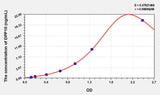 Human DPP10(Dipeptidyl Peptidase 10) ELISA Kit 96T*5