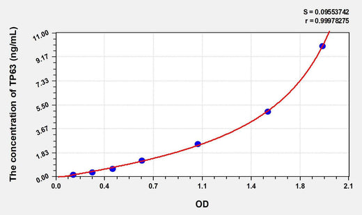 Human TP63(Tumor Protein P63) ELISA Kit