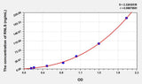 Human RNLS(Renalase) ELISA Kit 96T*5