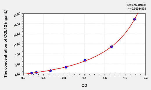 Human COL12(Collagen Type XII) ELISA Kit
