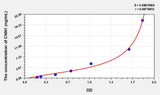 Human CNN1(Calponin 1, Basic) ELISA Kit 96T*5