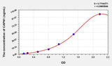Human CAPN1(Calpain 1, Large Subunit) ELISA Kit 96T*5