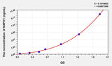 Human NXPH1(Neurexophilin 1) ELISA Kit 96T*5