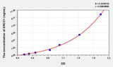 Human ERCC1(Excision Repair Cross Complementing Rodent Repair Deficiency Complementation 1) ELISA Kit 96T*5