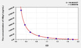 Human HBg1(Hemoglobin Gamma 1) ELISA Kit 96T*5
