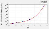 Human EEF1g(Eukaryotic Translation Elongation Factor 1 Gamma) ELISA Kit 96T*5