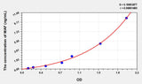 Human MAF(V-Maf Musculoaponeurotic Fibrosarcoma Oncogene Homolog) ELISA Kit 96T*5